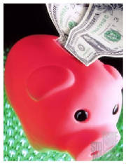 porky1.jpg